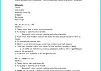 Awesome Science Lab Report Template Best Of Ion and Cheek Cell Lab School Pinterest