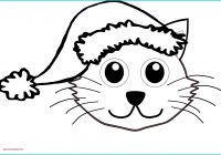 Blank Cat In the Hat Template Best Of Cat In Drawing at Getdrawings